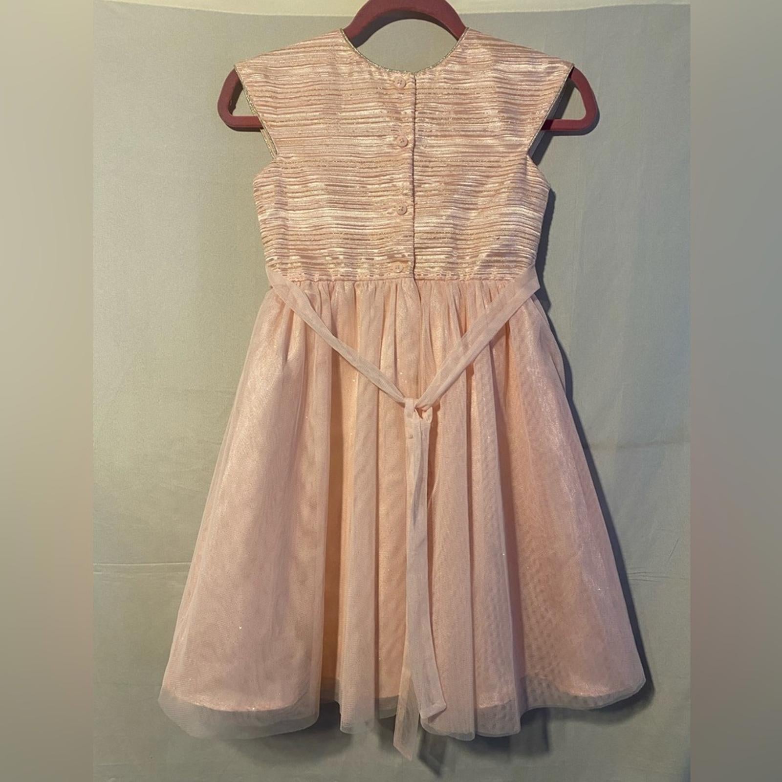Girls Jona Michelle Pink and Silver Sparkle Party Dress Size 10